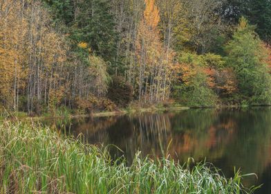 Autumn Lake Reflections