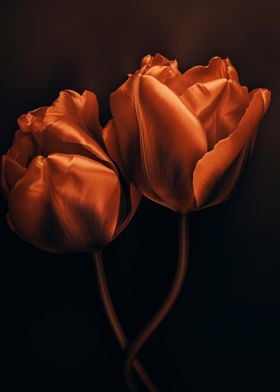 Copper Tulips