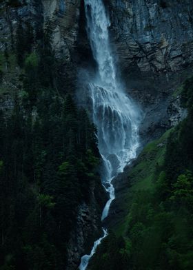 Waterfall in Lush Forest