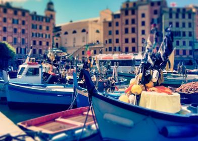 Fishing Boats in Harbor