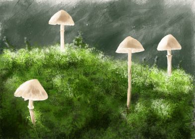 Mushrooms in Moss