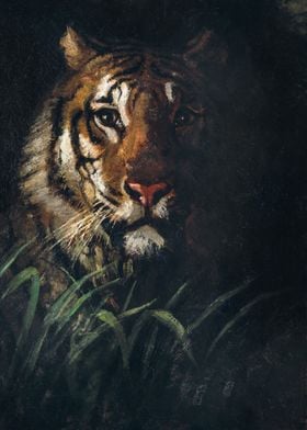 Tiger Portrait