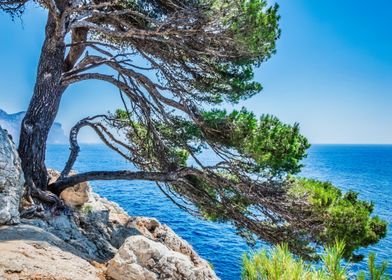 Mediterranean Coastline