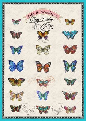 Colorful Butterfly Art Print