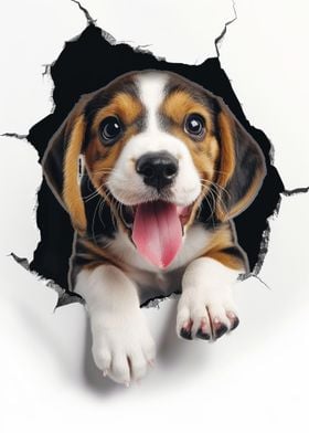 Beagle In The Wall