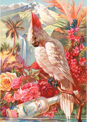 Cockatoo with Roses and Bottle