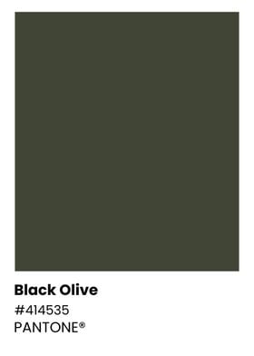 Pantone Black Olive Color