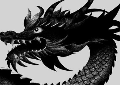 Black Dragon Illustration