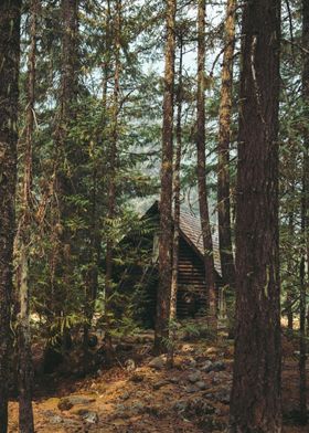 Cabin in the Woods