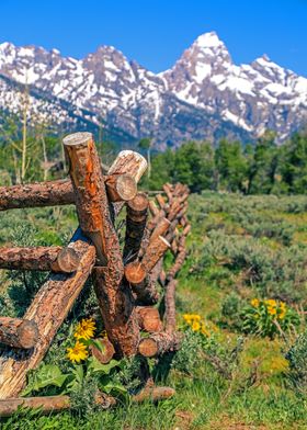 Teton Mountain View Fence