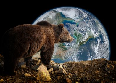 Bear and Earth