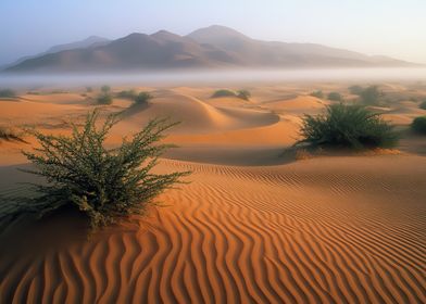 Desert Landscape with Fog