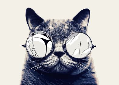 Cool Cat in Sunglasses