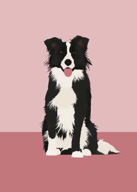 Border Collie Illustration