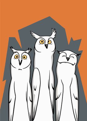 Three Owls Cartoon