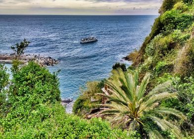 Ocean View with Palm Tree