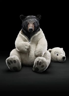 Black Bear in Polar Bear Suit