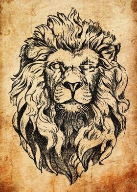 Lion Head Sketch