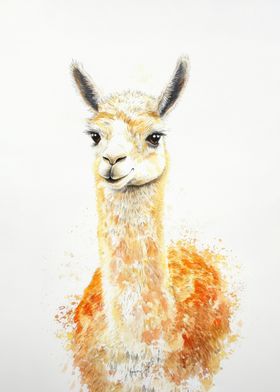 Smiling Alpaca Watercolor