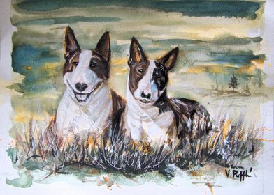 Bull Terrier Watercolor Painting