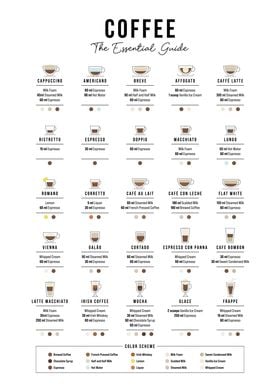 The Essential Coffee Guide