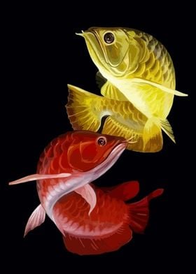 Red and Gold Arowana Fish