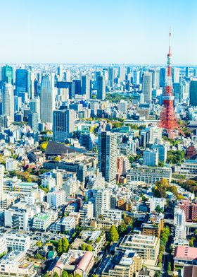 Tokyo Skyline with Tokyo Tower