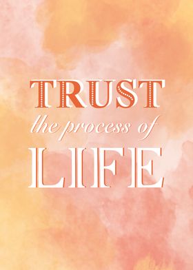 Trust the Process of Life Quote