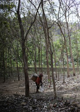 Woman Carrying a Basket in a Forest