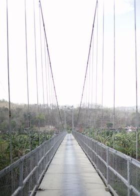 Bridge Over Green Valley