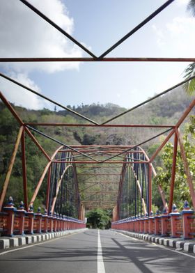 Bridge Over Lush Valley