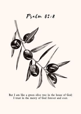 Olive Branch Psalm 52:8