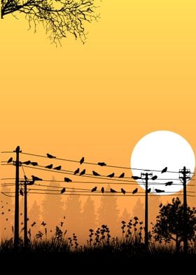 Birds on Power Lines