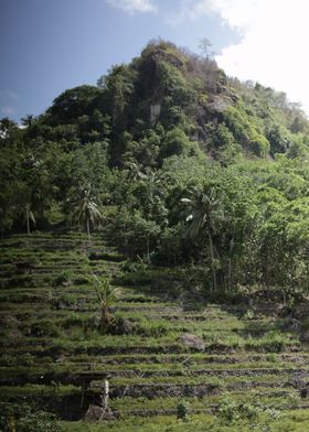 Tropical Mountain Landscape