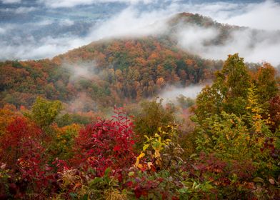 Misty Autumn Forest Smoky Mountains