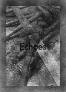 Echoes - Poster