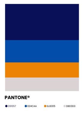 Pantone Color Swatches