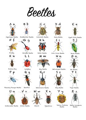 Beetle Alphabet Chart