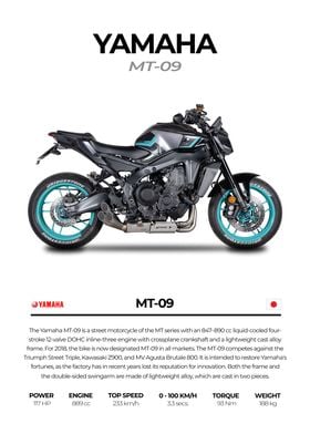 Yamaha MT-09 Motorcycle