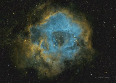 The Rosette Nebula