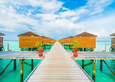 Tropical Overwater Bungalows