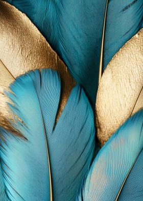 Feathers