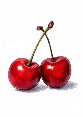 Two Cherries Watercolor Illustration