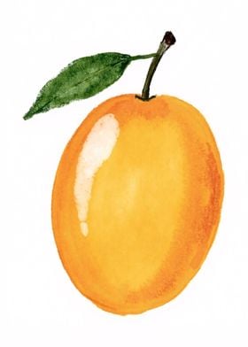 Watercolor Mango Fruit