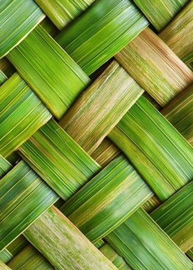 Woven Palm Leaf Texture ai