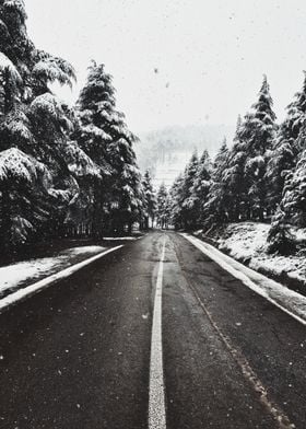 Snowy Road Through Forest