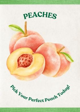 Watercolor Peaches Vintage Poster