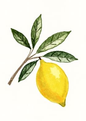 Lemon Branch Watercolor