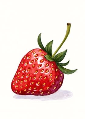 Watercolor Strawberry