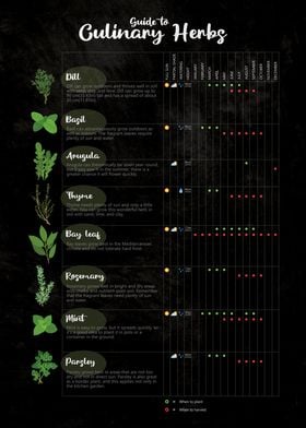 Culinary Herb Guide